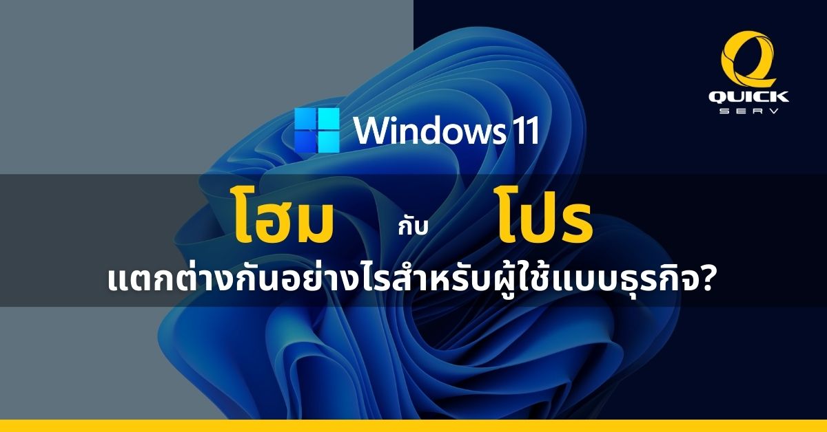 Windows 11 Home vs Pro difference for business users